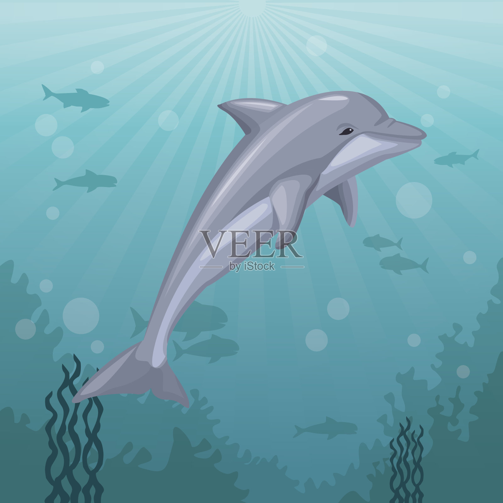 丰富多彩的背景海洋景观水下海洋生物和哺乳动物海豚设计元素图片