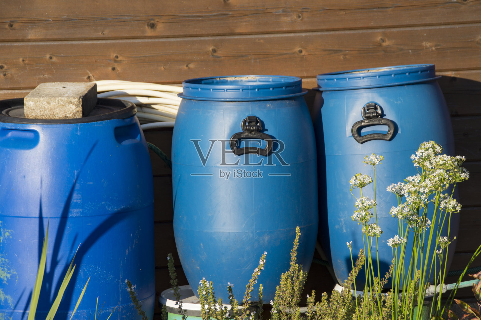 三个带盖的塑料雨桶，用于收集雨水，背景是木制的照片摄影图片