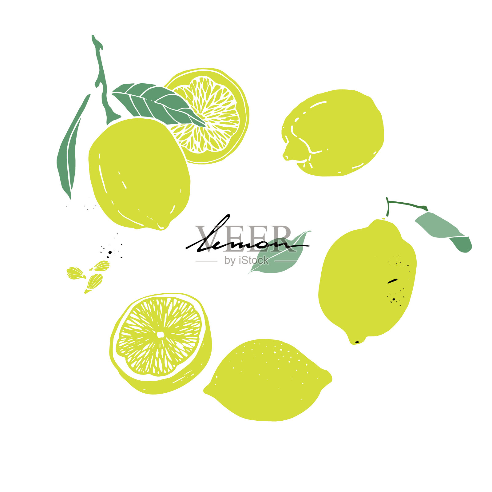 柠檬，柠檬叶，柠檬片和柠檬籽。手绘。设计元素图片