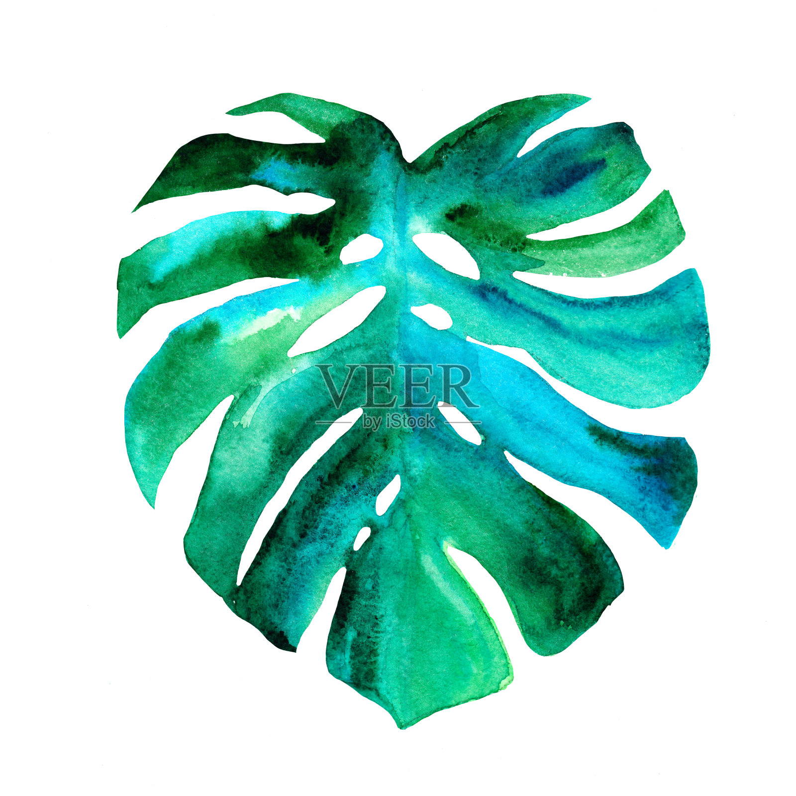 分离的棕榈叶。水彩插图。热带元素为您的设计。插画图片素材