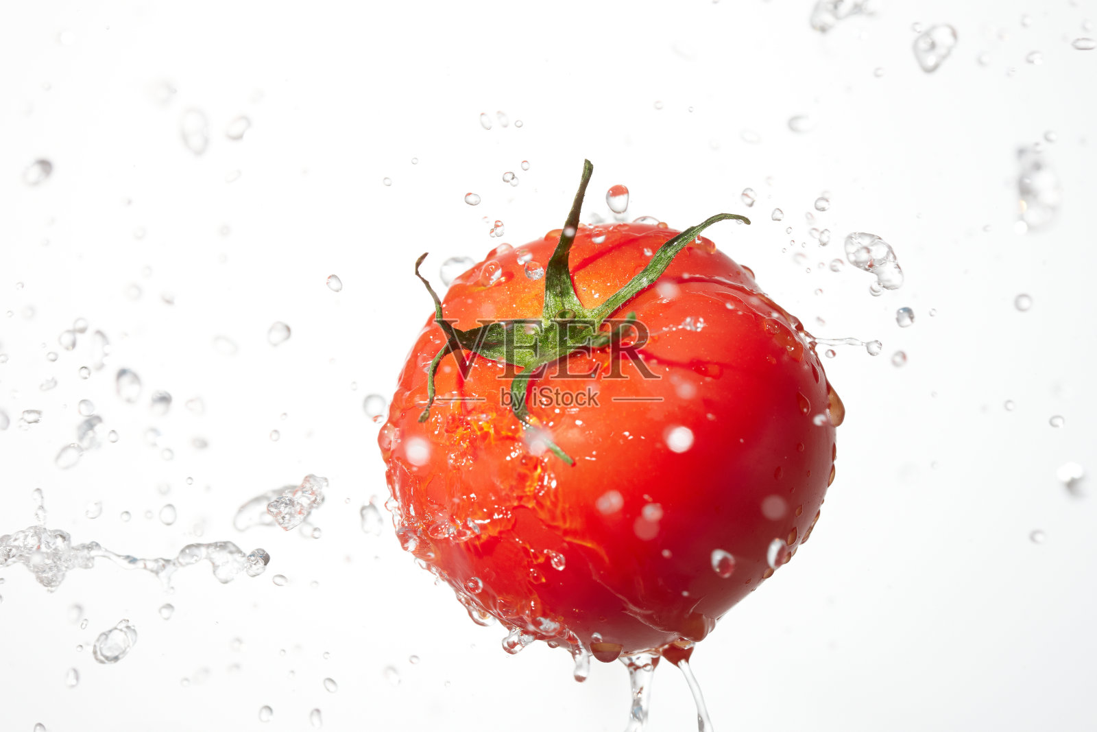 白色蕃茄，带溅照片摄影图片