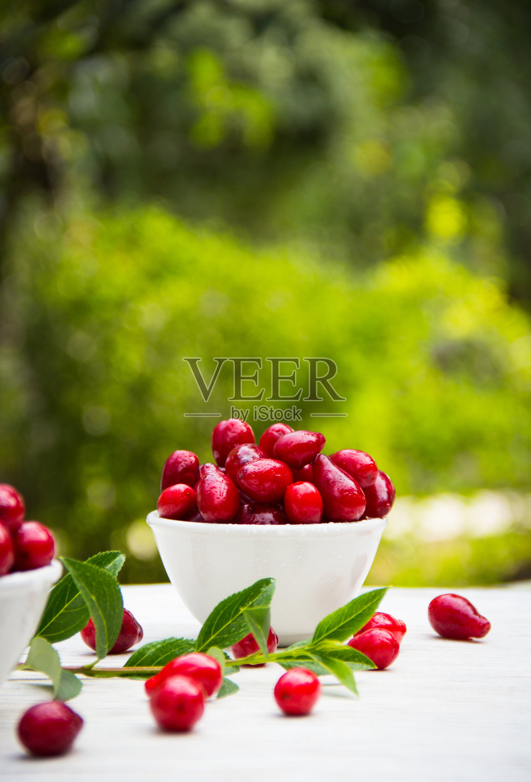 夏日花园中白色的碗里，多汁成熟的山茱萸浆果。本空间照片摄影图片