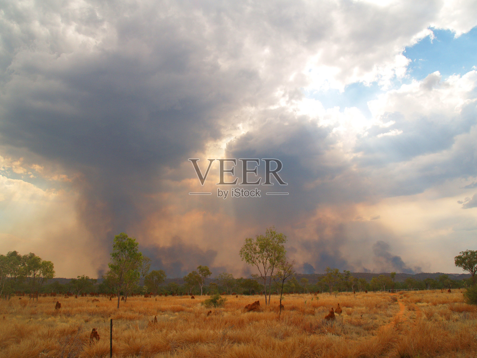 澳大利亚内陆的森林大火照片摄影图片