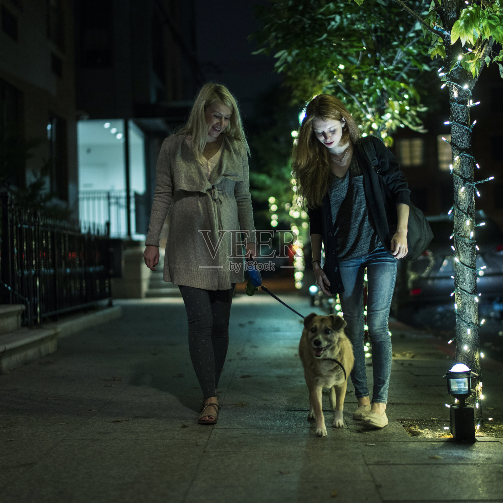 美丽的白种金发孕妇和她的十几岁的妹妹在街上遛狗的晚上照片摄影图片