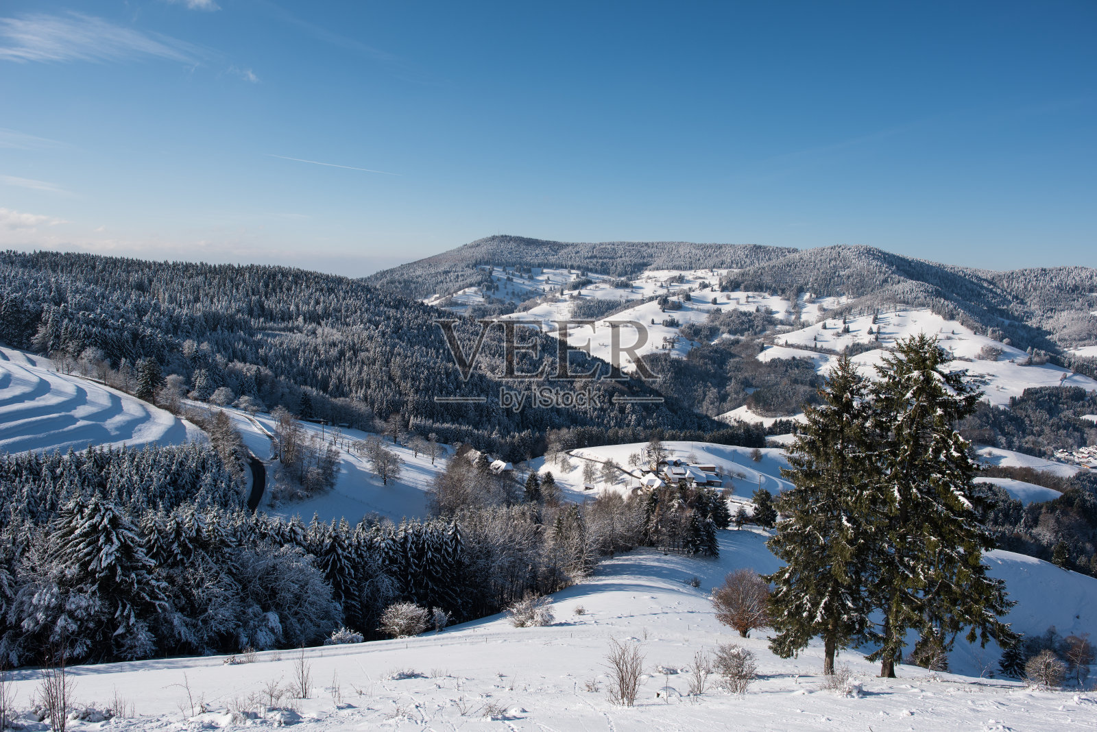 黑森林德国美丽的雪景照片摄影图片
