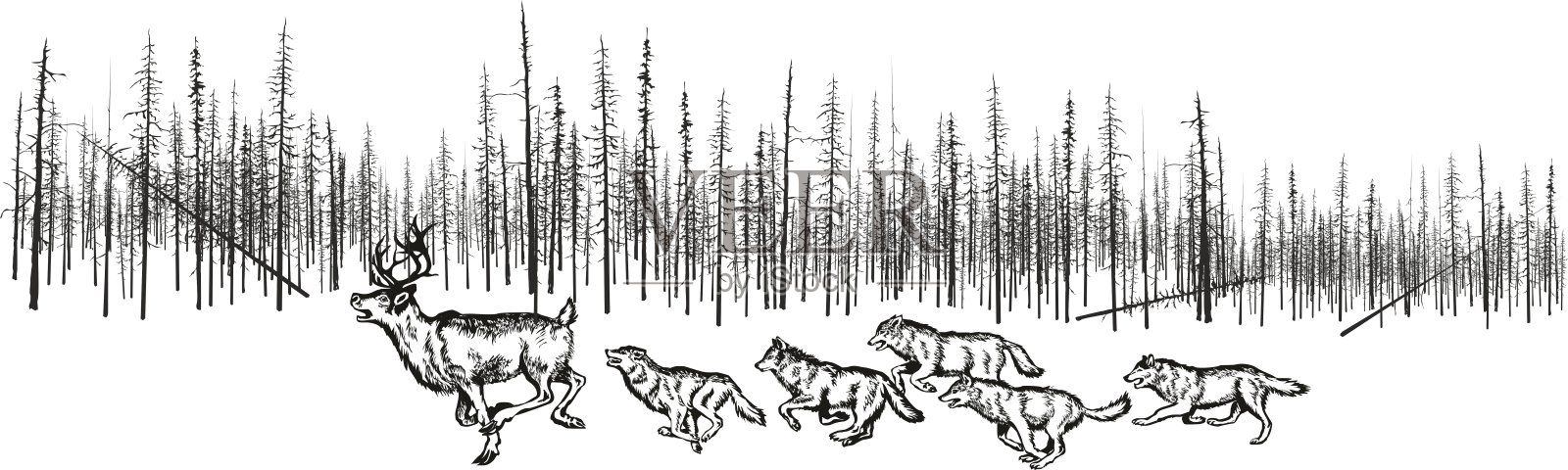 猎狼猎鹿。插画图片素材