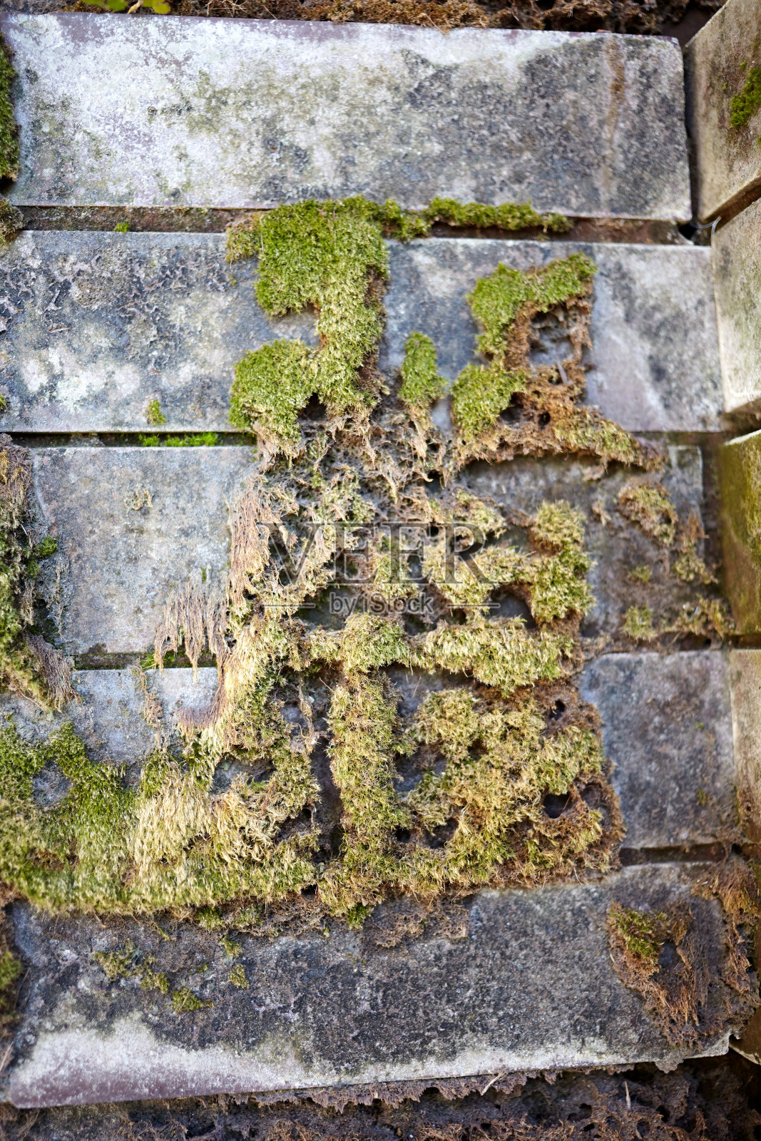 古老的石墙上长着苔藓照片摄影图片