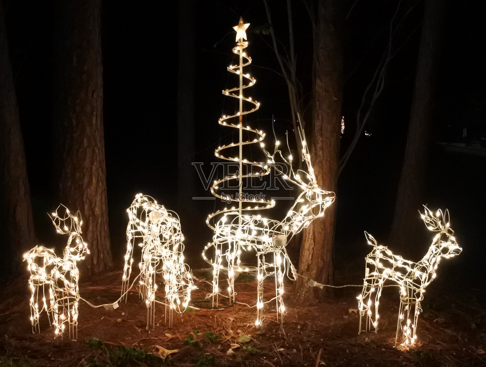 照亮圣诞驯鹿装饰-夜照片摄影图片