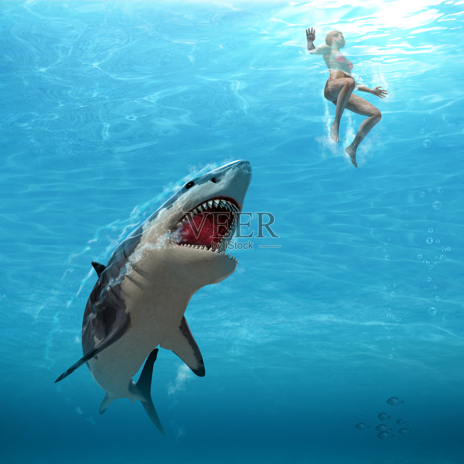 大白鲨攻击女性游泳运动员插画图片素材
