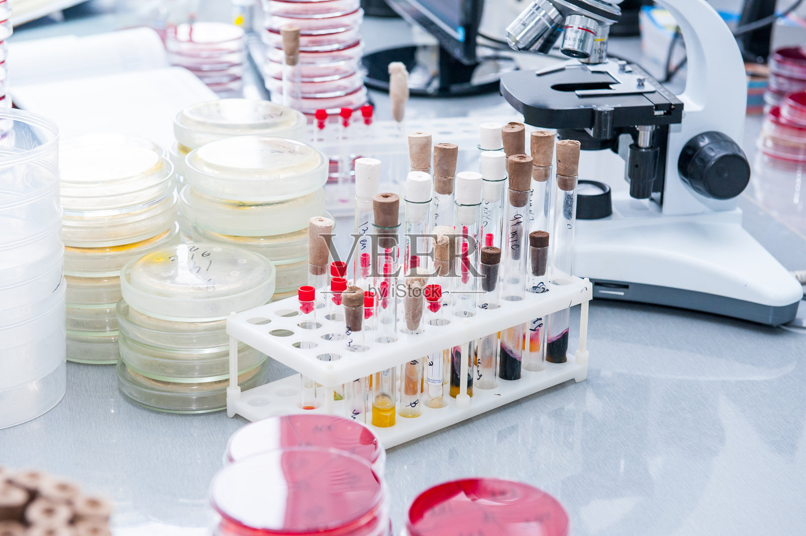 微生物实验室详情;培养细菌的培养皿，试管，显微镜等。有选择性的重点照片摄影图片