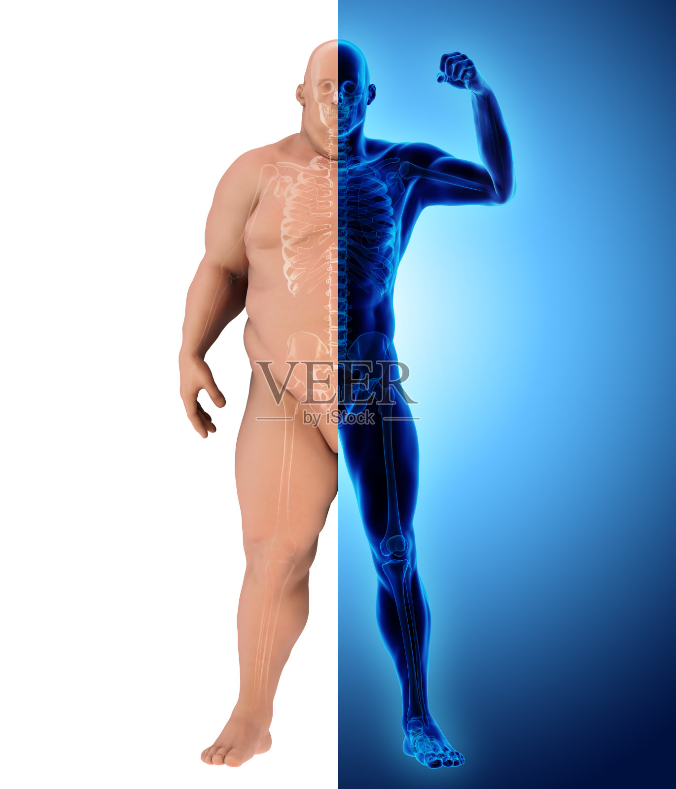 3d插图前后转换脂肪体到健身体，保健运动。照片摄影图片