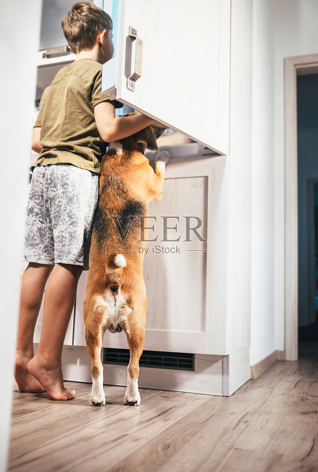 男孩和狗试着找吃的东西在rifrereator照片摄影图片
