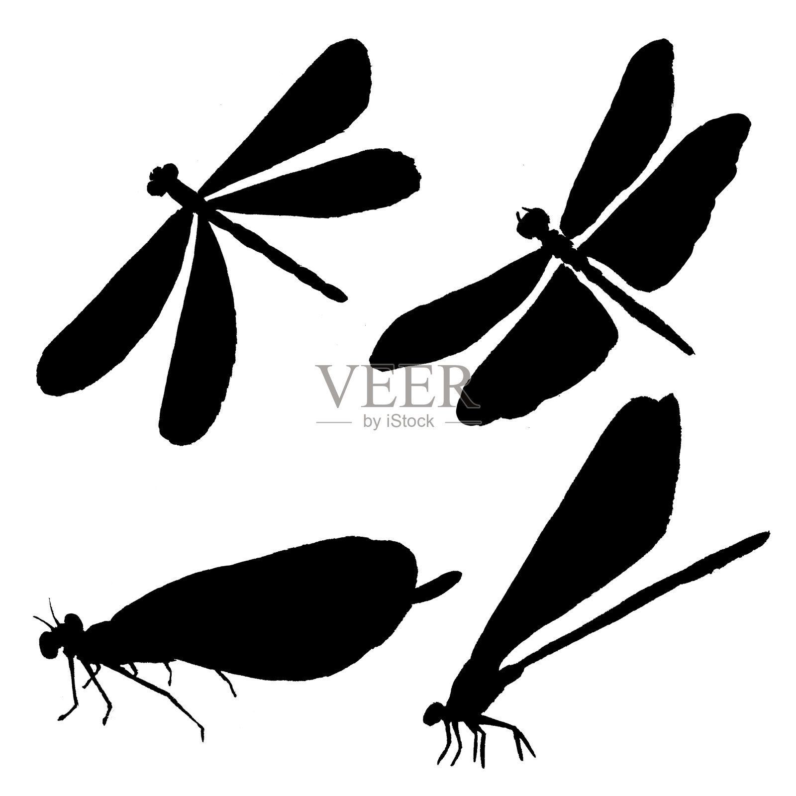 黑色蜻蜓剪影的集合。插画图片素材