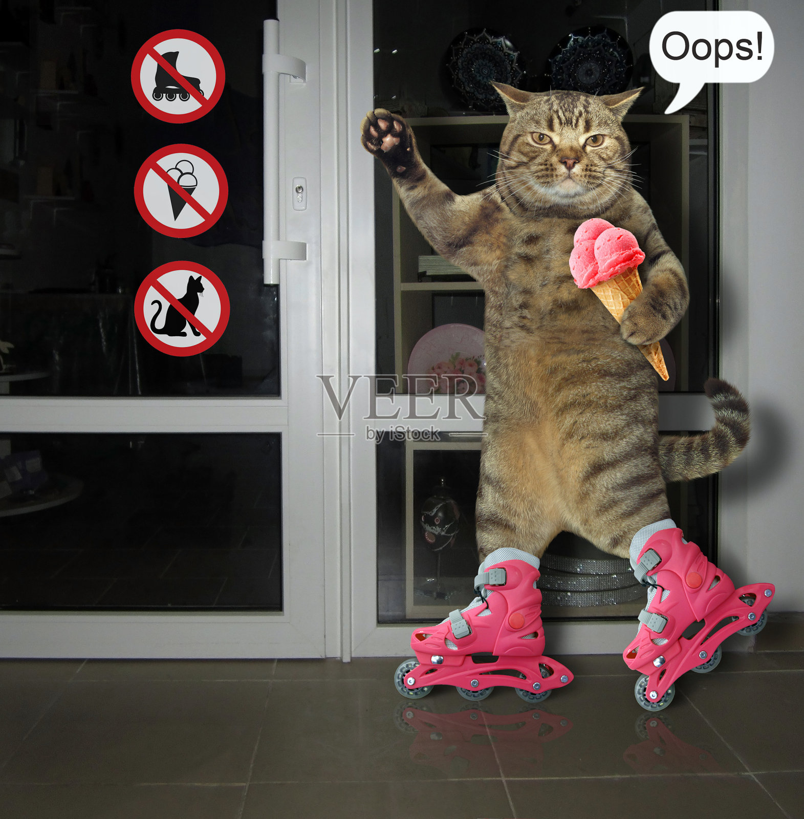穿着旱冰鞋的猫照片摄影图片