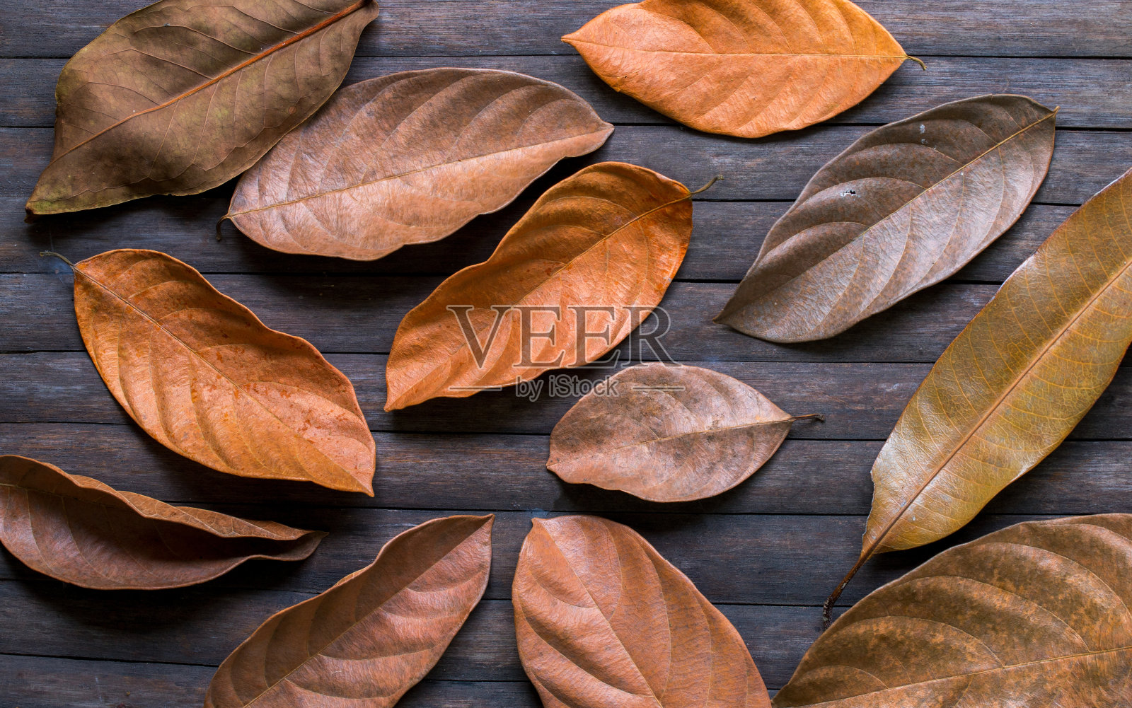 木制背景上的橙色叶子。秋季季节横幅模板。照片摄影图片
