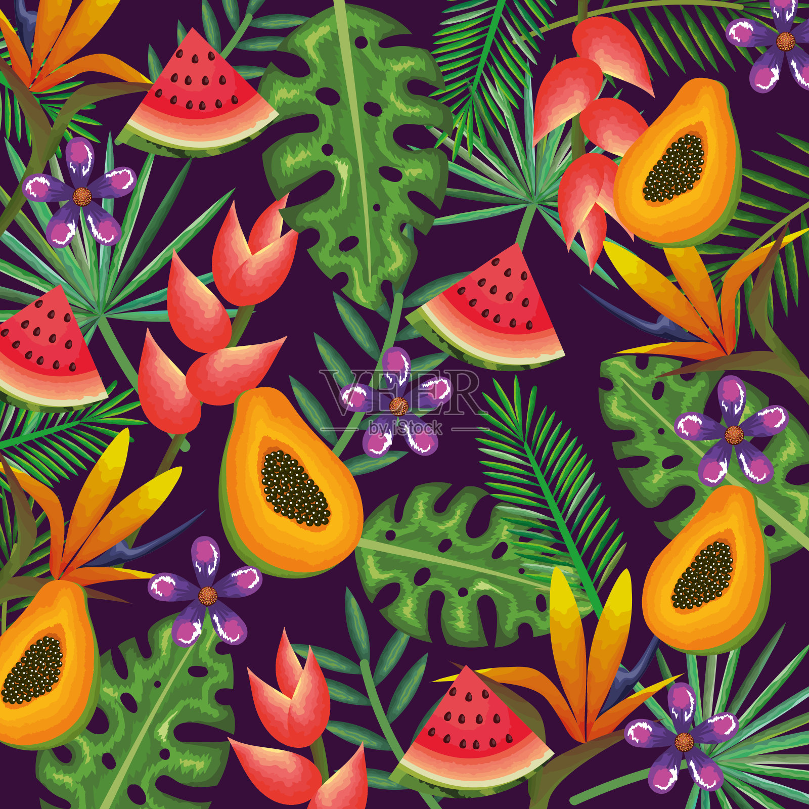 有木瓜和西瓜的热带花园插画图片素材
