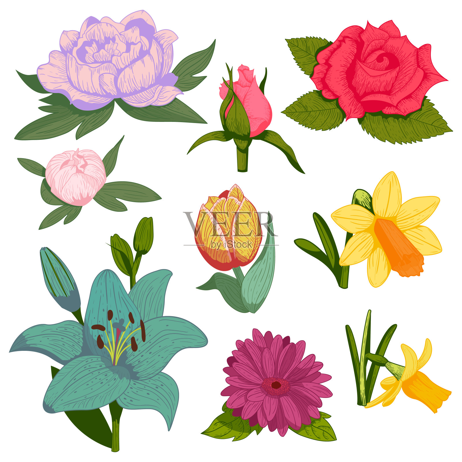 美丽的水彩画向量手工花卉植物盛开画手工制作夏季花卉枝花瓣装饰花束自然设计插图插画图片素材