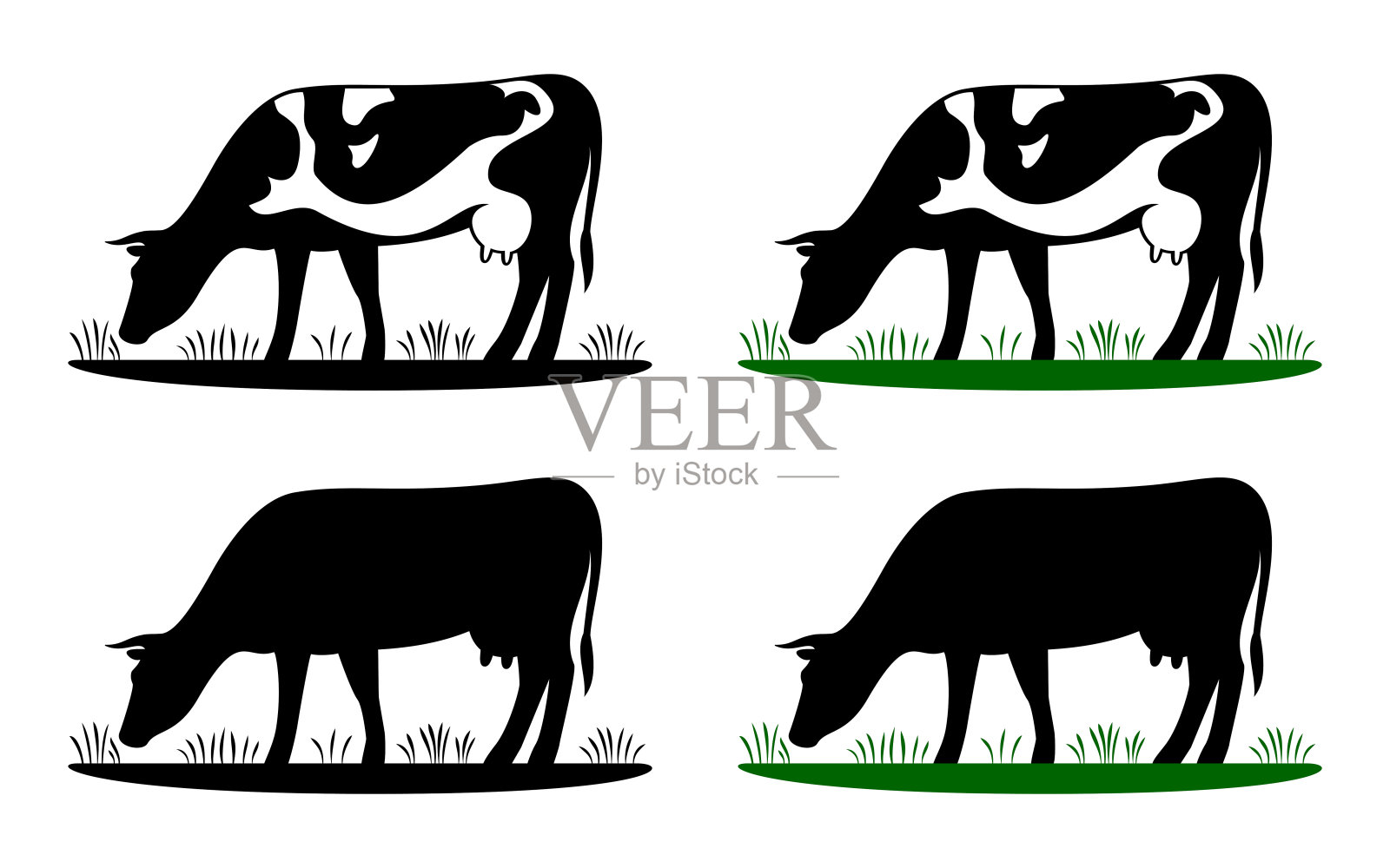 牛在草地上吃草，牛的剪影在田里吃草。插画图片素材