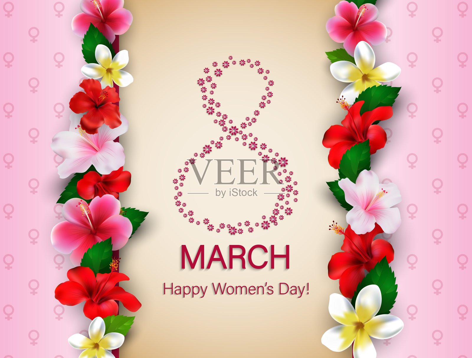 3月8日国际妇女节快乐背景与鲜花。芙蓉花设计插画图片素材