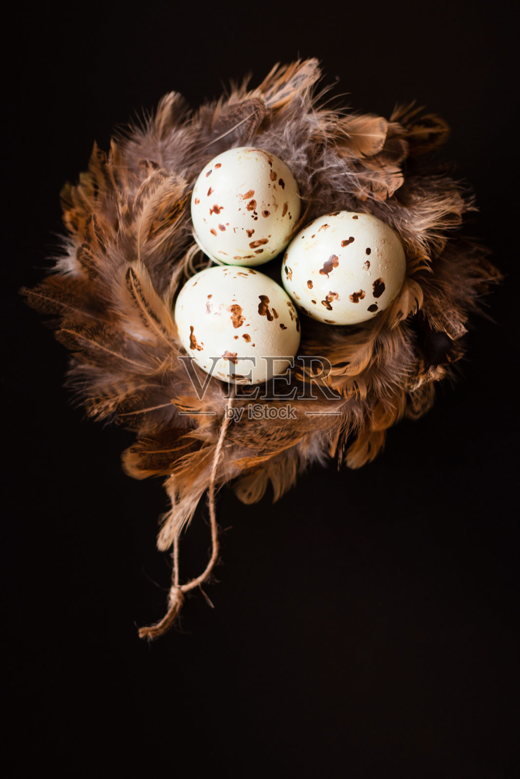 复活节彩蛋，柳枝和羽毛窝照片摄影图片