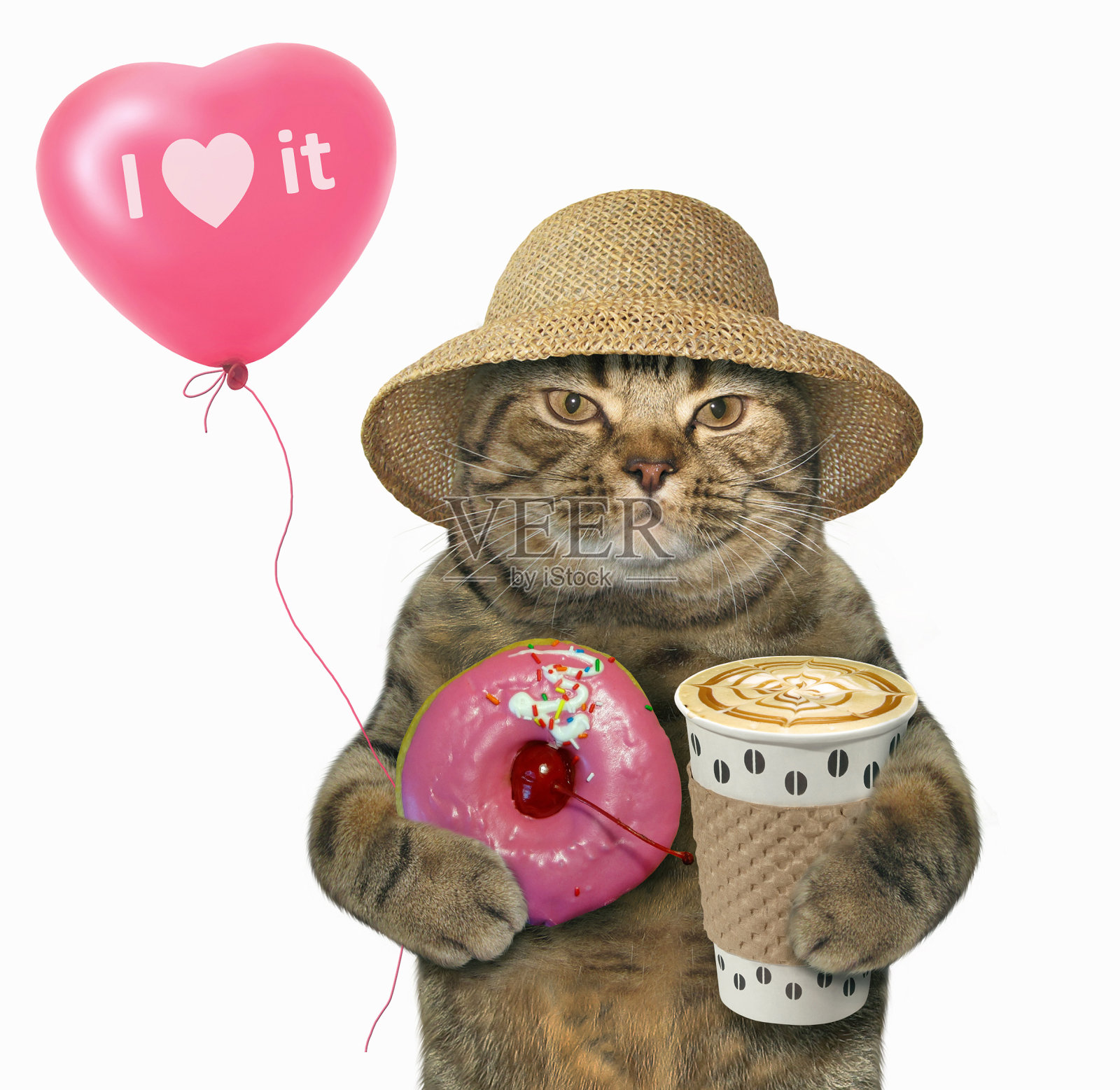 猫和一个粉色的甜甜圈和气球照片摄影图片