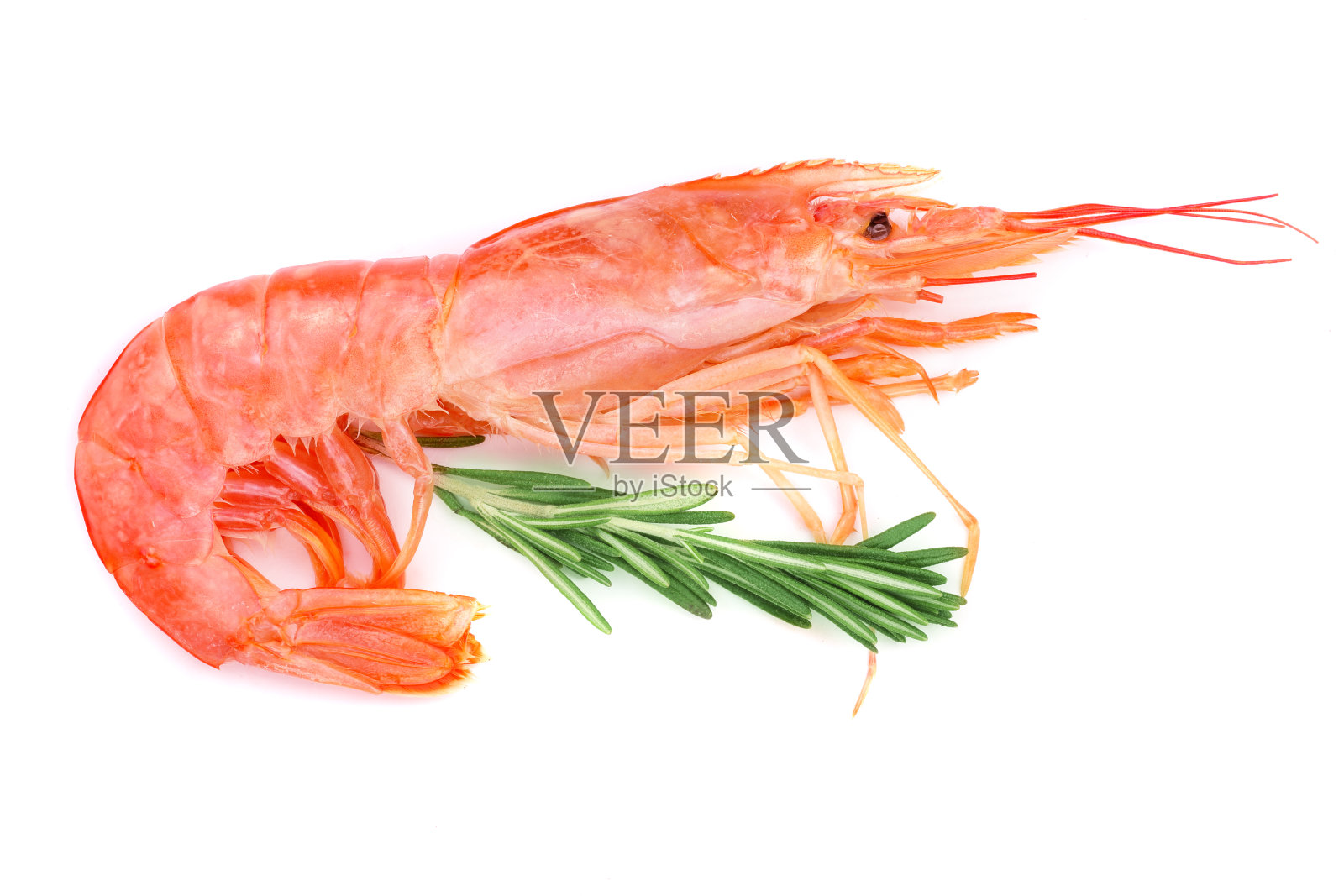红色煮虾或虾与迷迭香孤立在白色背景。俯视图照片摄影图片
