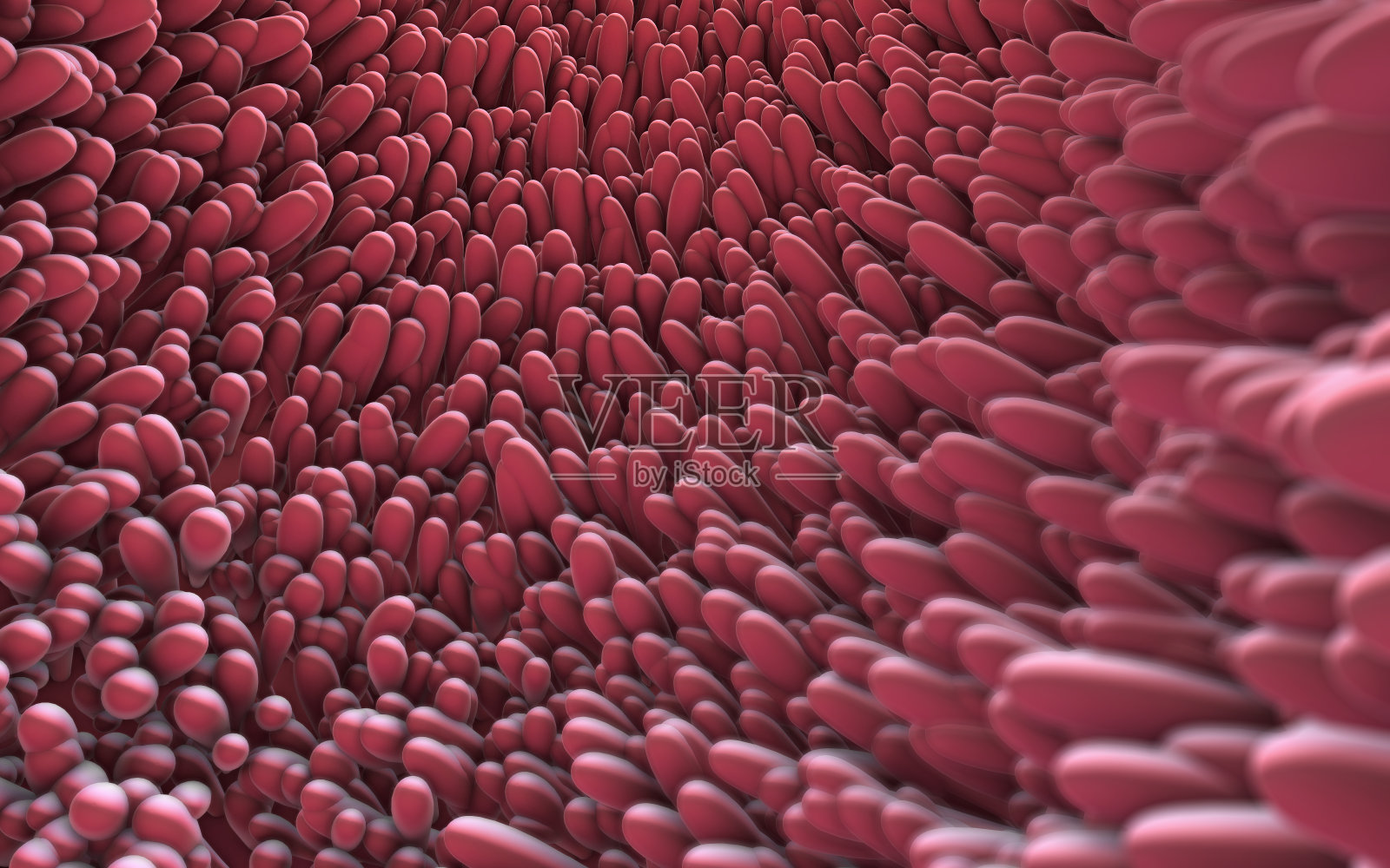 肠绒毛显微特写的三维图像照片摄影图片