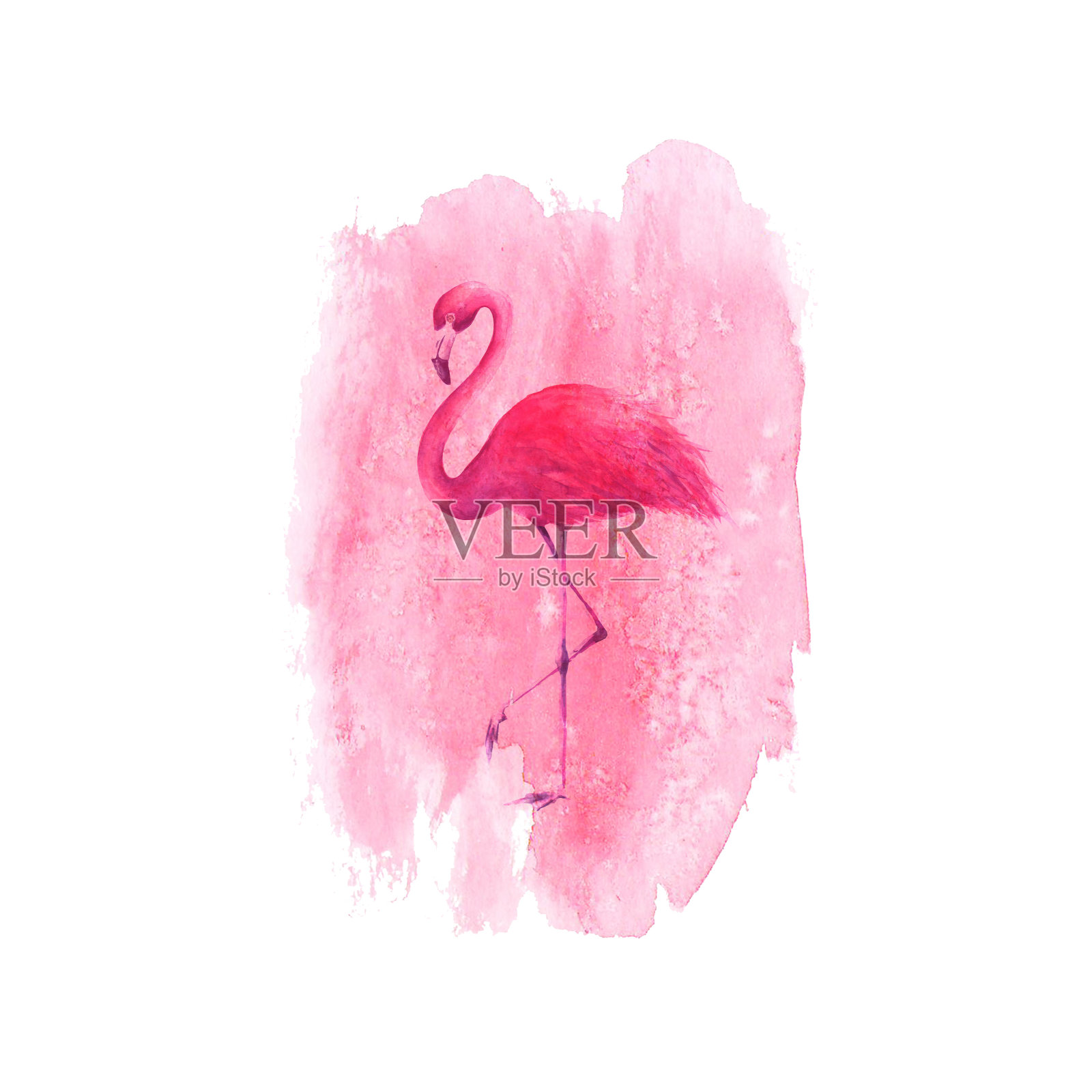 火烈鸟在水彩粉红点背景插画图片素材