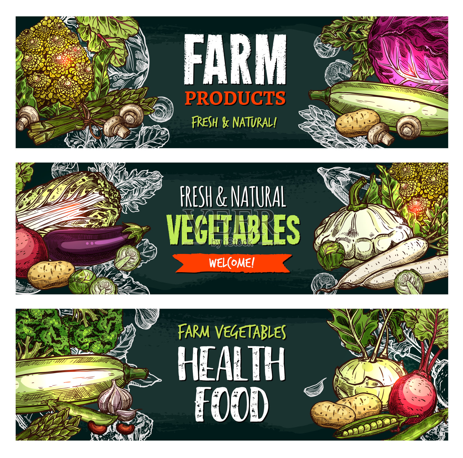 载体新鲜有机蔬菜素描横幅插画图片素材