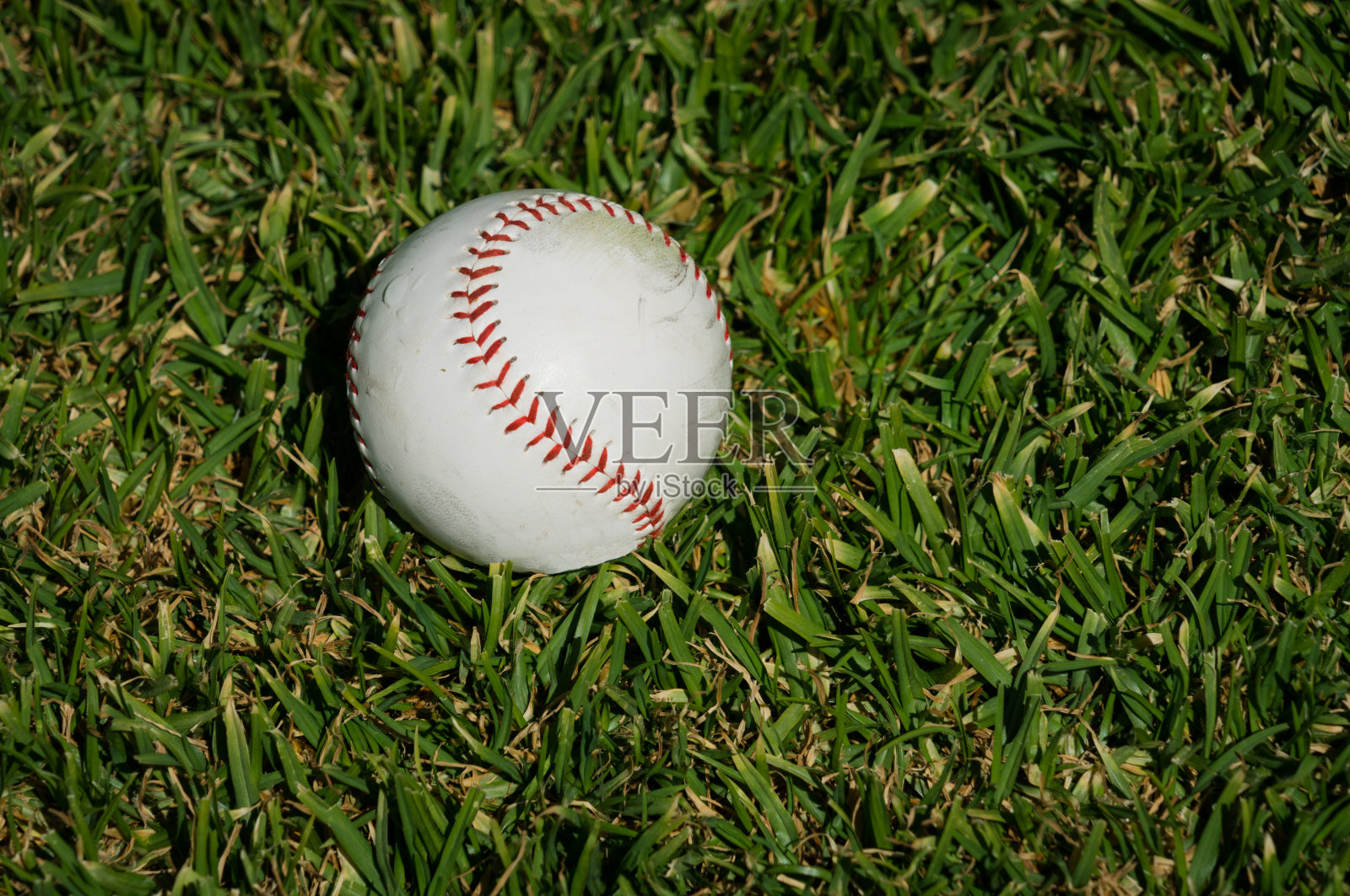 棒球在草地上照片摄影图片