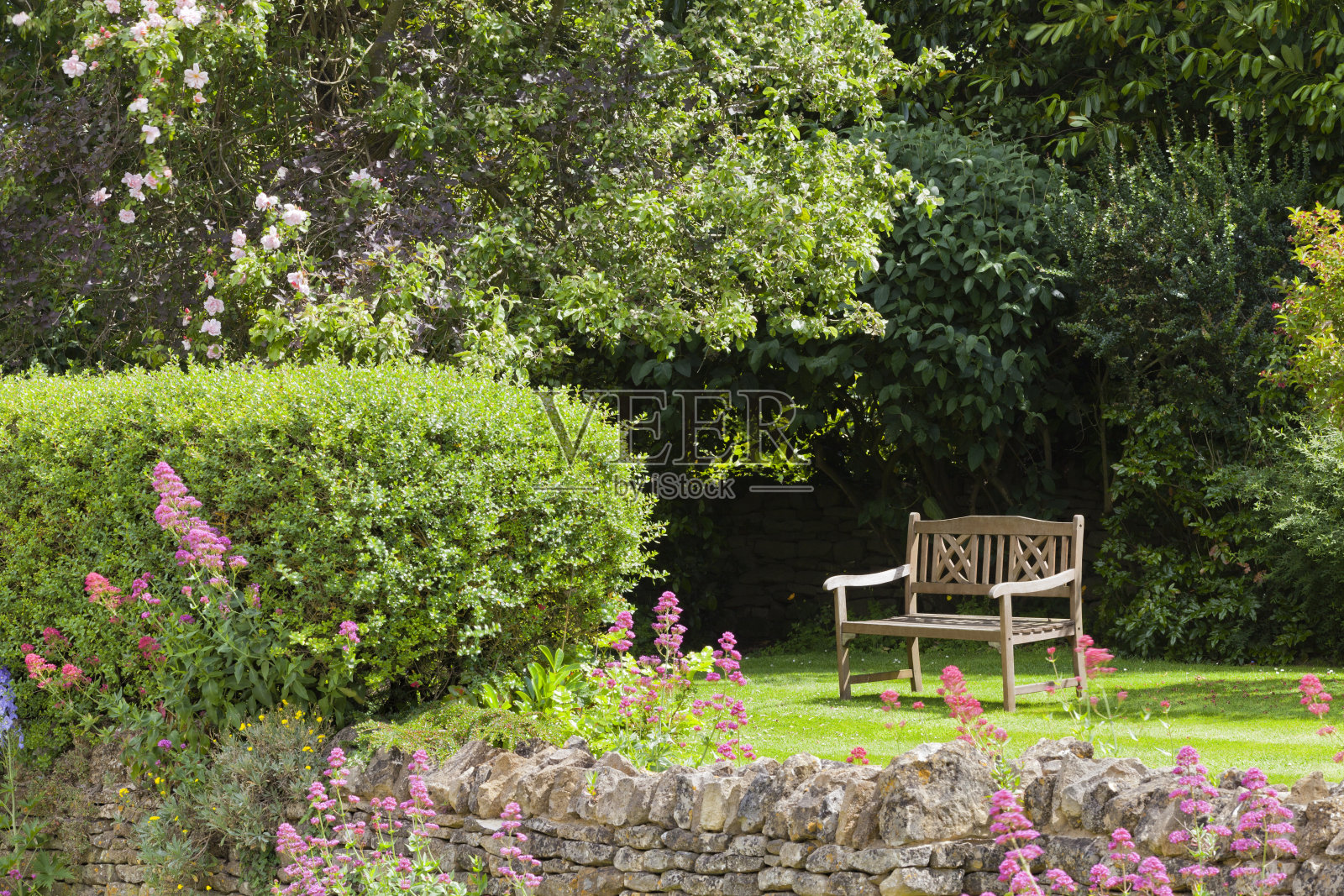 幽静的木凳在一个夏日的英国花园里，有村舍花，粉红色的蔷薇丛，灌木，石砌的石墙。照片摄影图片