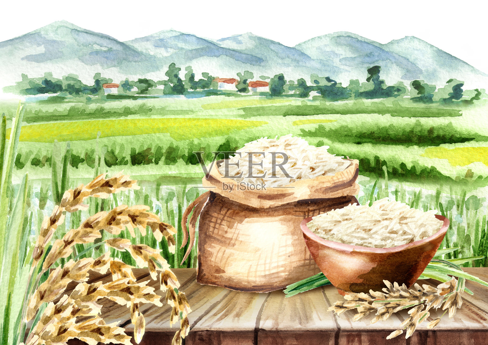 稻田景观组成。水彩手绘插图插画图片素材