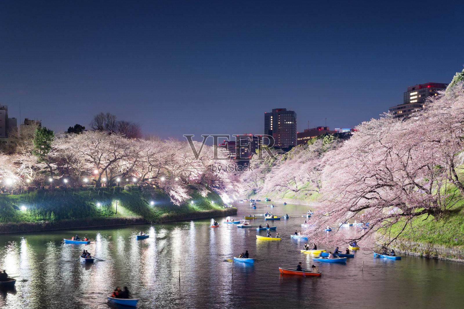 以东京为背景的樱花盛开的夜景。摄于日本东京千鸟渊。照片摄影图片