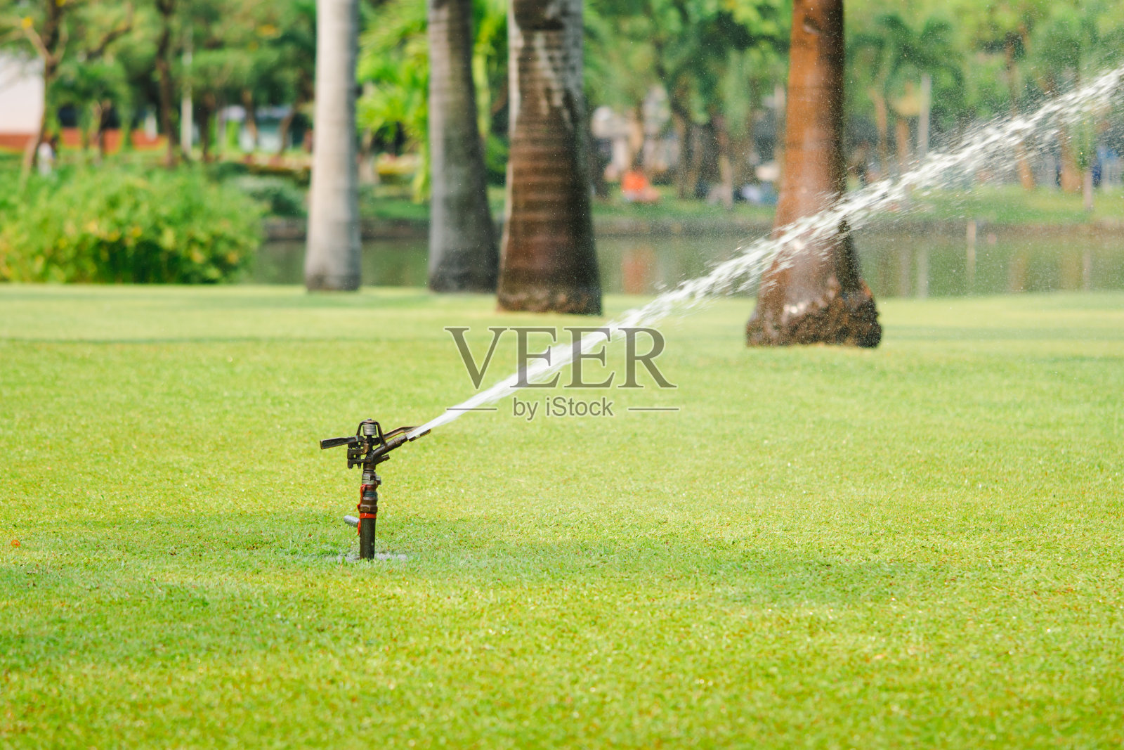 自动洒水器浇灌公园里的草坪照片摄影图片