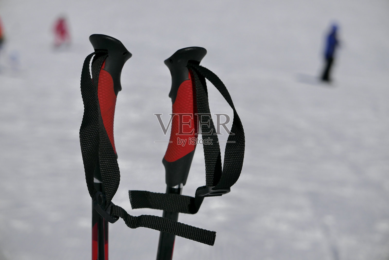 在滑雪场上拉雪橇照片摄影图片