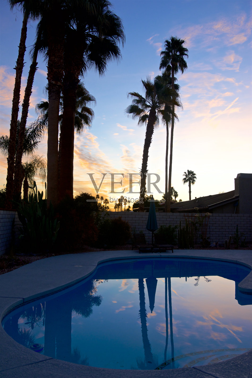 后院游泳池日出，棕榈树，棕榈泉，南加州，美国照片摄影图片