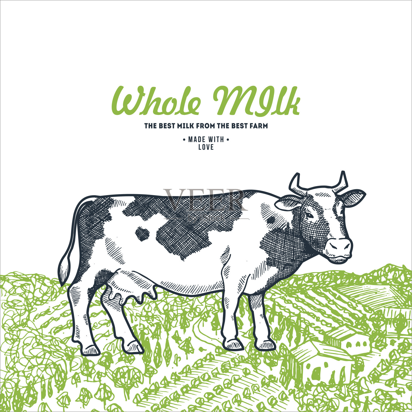 绿色田野上的奶牛。牛奶设计模板。矢量图插画图片素材