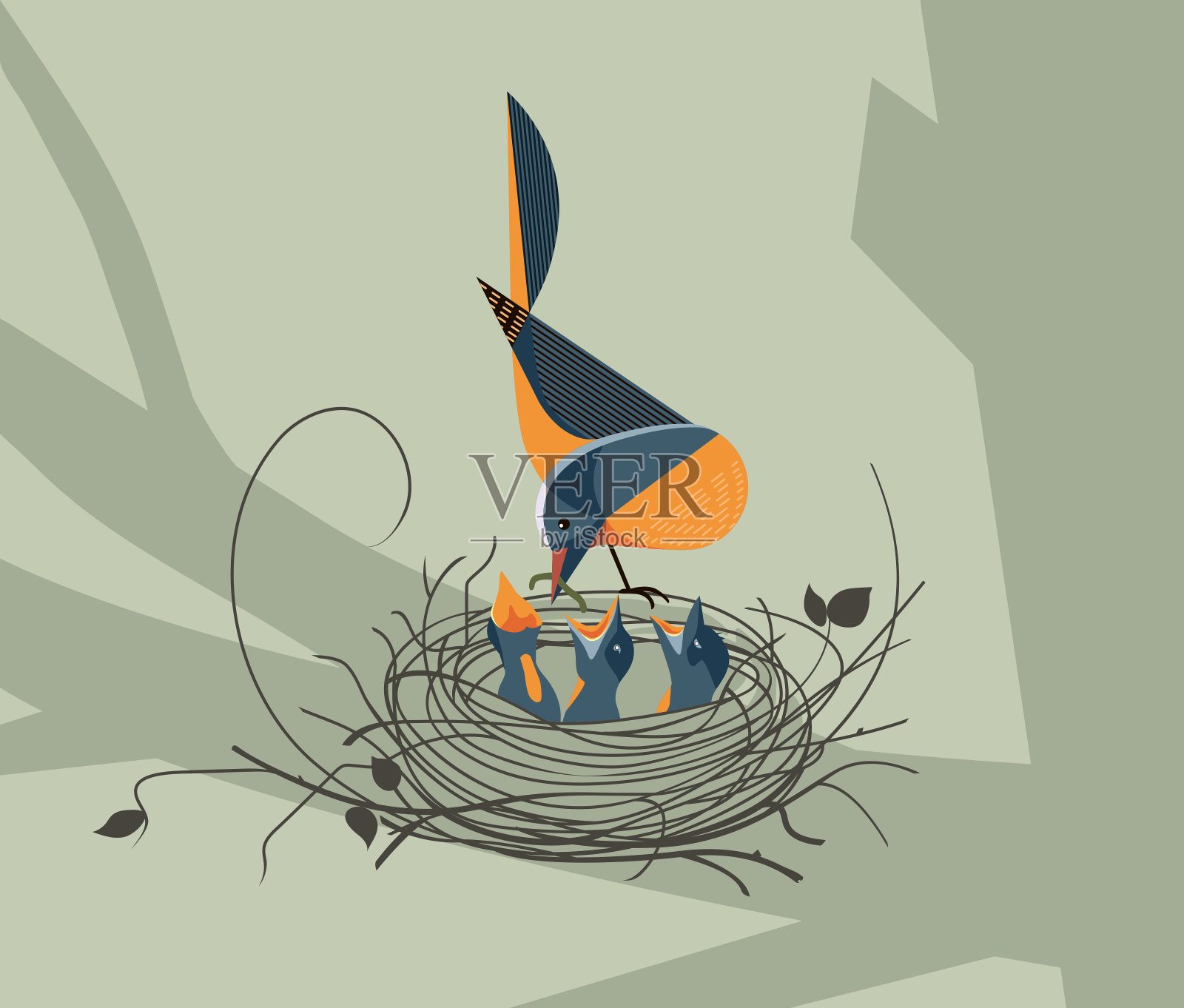 鸟在巢里喂小鸡插画图片素材