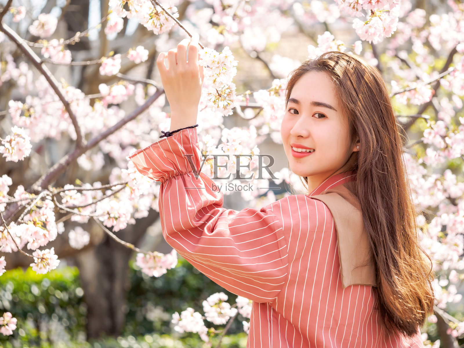 户外肖像美丽的年轻的中国女孩在春天的花园樱花树早午餐微笑，美丽，夏天，情感，表达和人们的概念。照片摄影图片