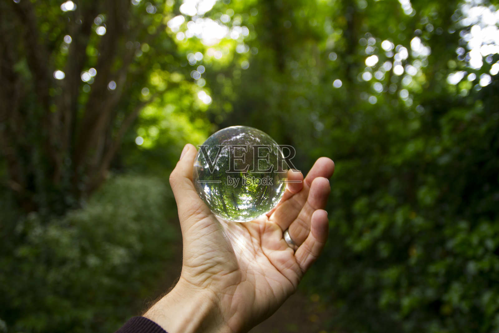 手握水晶球在森林照片摄影图片