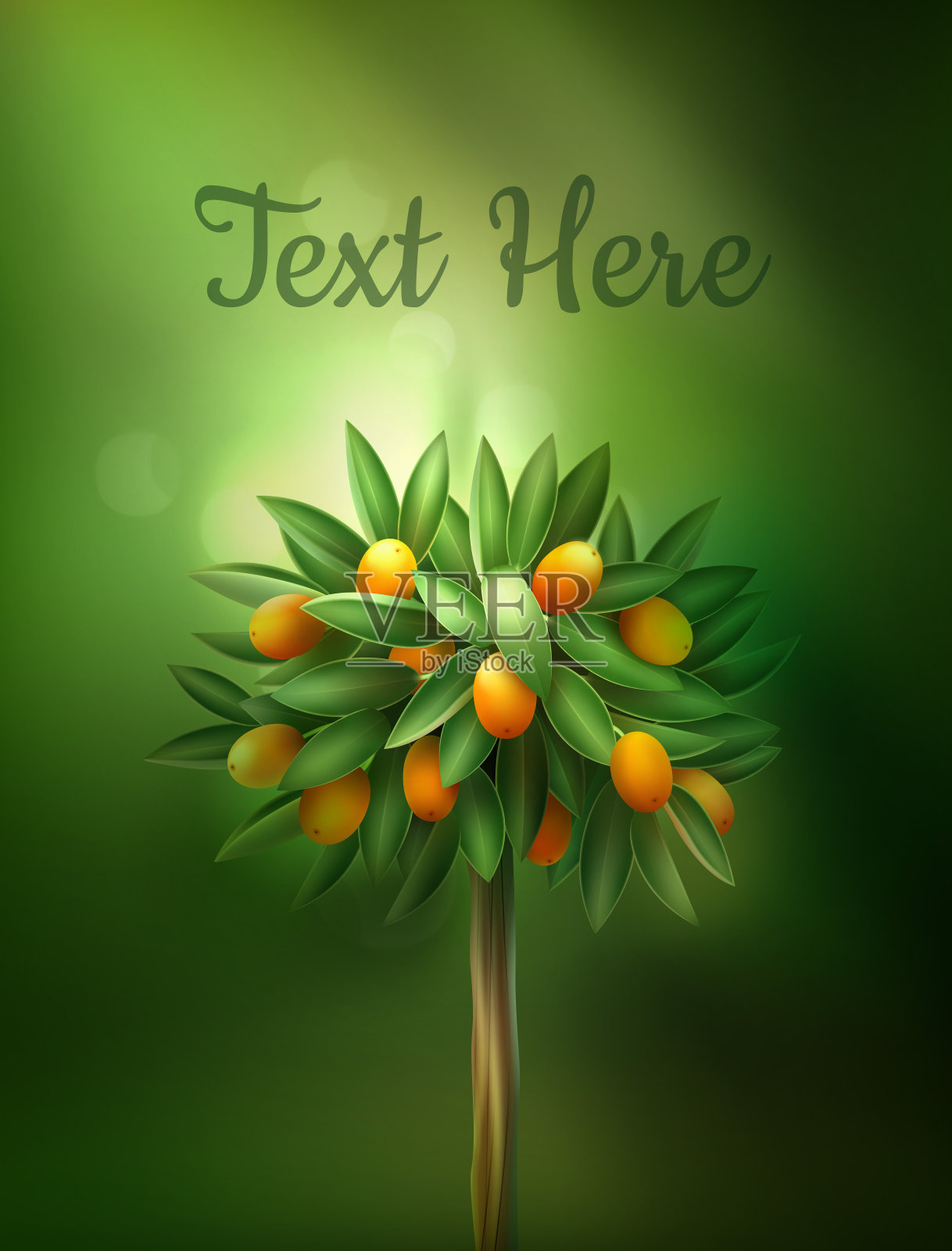 向量柑橘树插画图片素材