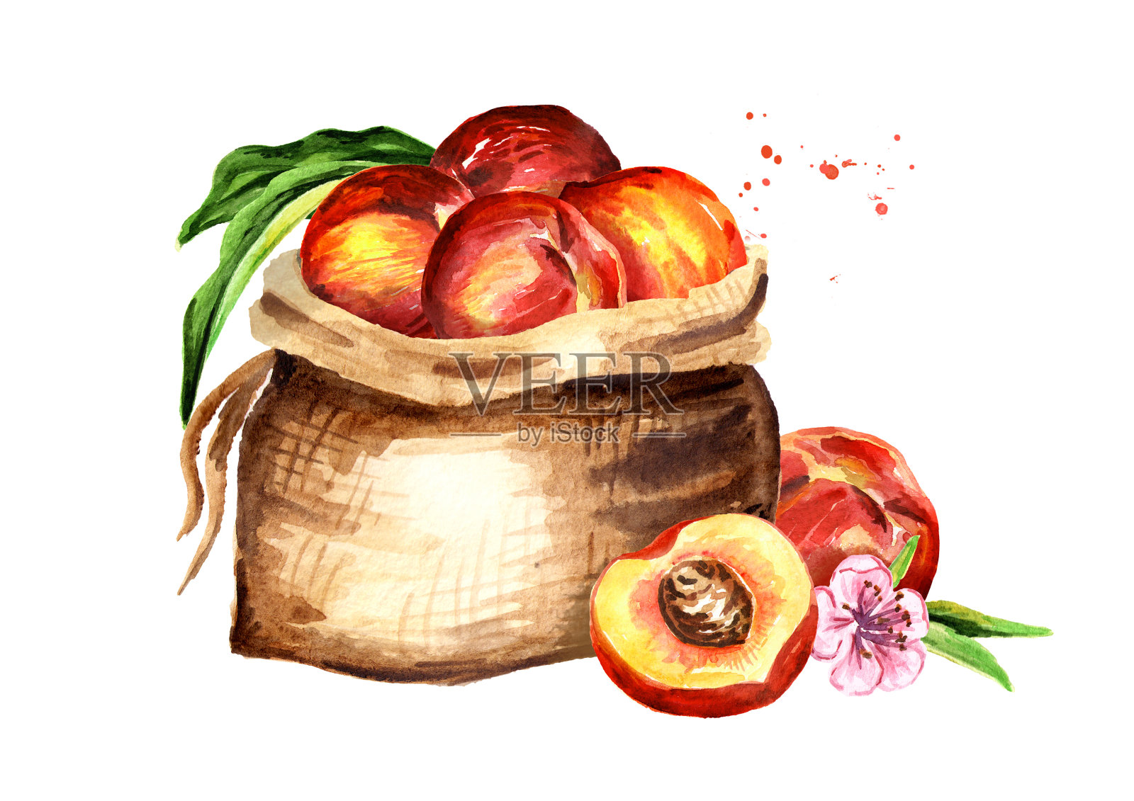 袋桃子。水彩手绘插图，孤立的白色背景插画图片素材