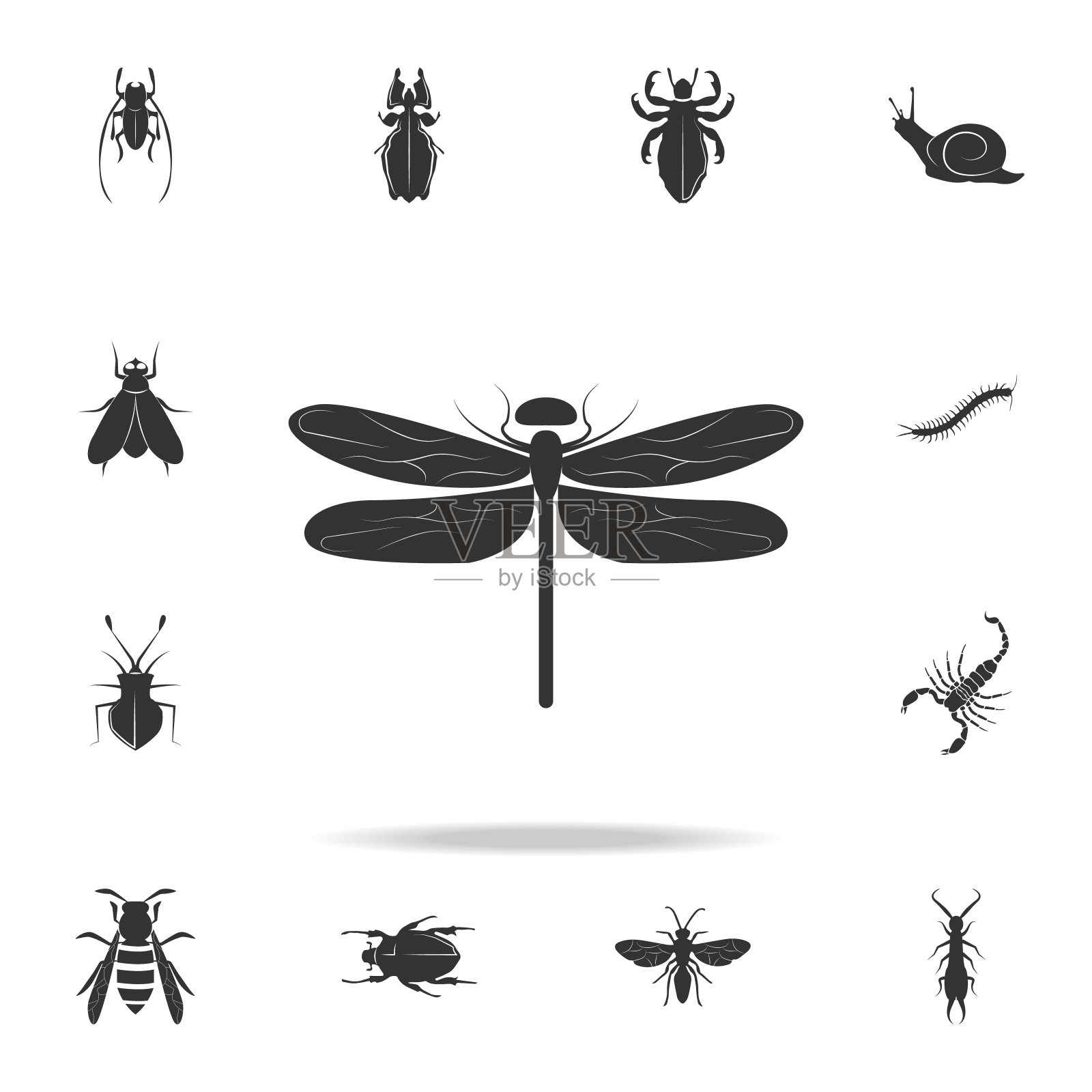 蜻蜓。详细设置的昆虫项目图标。优质的平面设计。收藏图标之一的网站，网页设计，移动应用程序设计元素图片