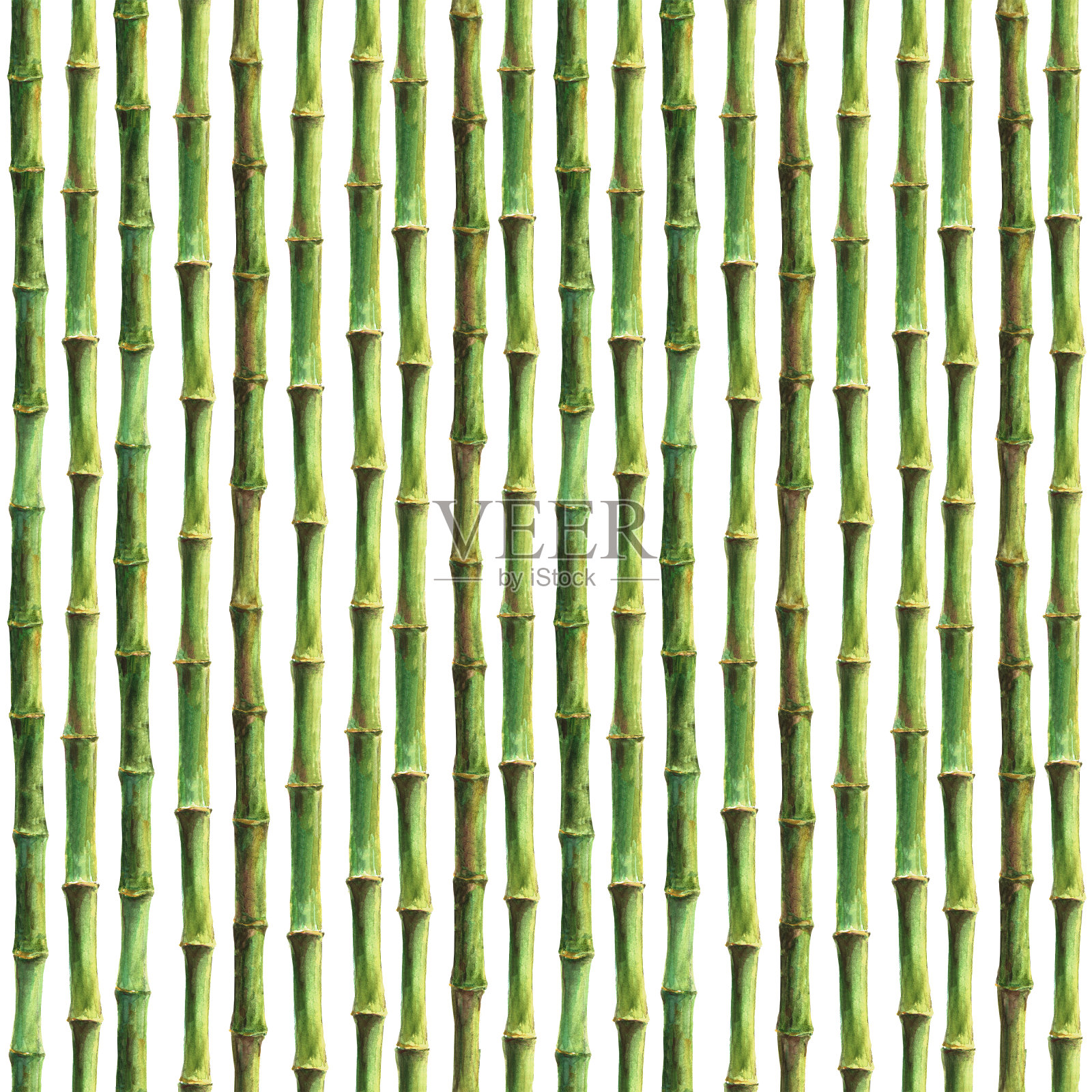 青竹茎无缝图案设计元素图片