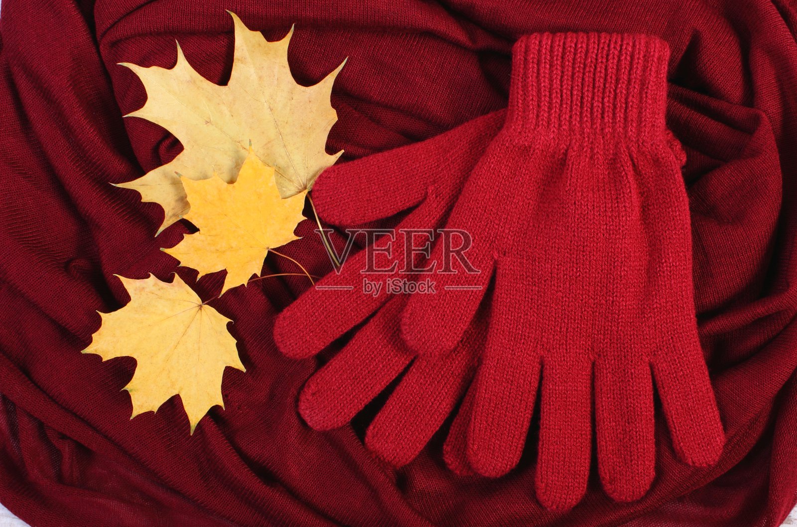女人的手套和秋天的叶子在紫红色的披肩背景照片摄影图片