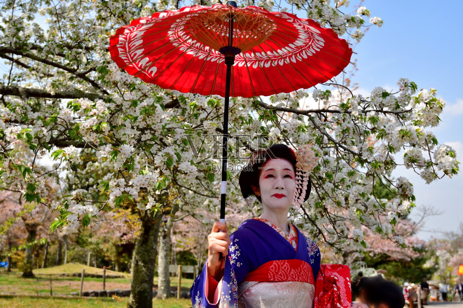 日本妇女在樱花下站在宫子的服装，京都照片摄影图片