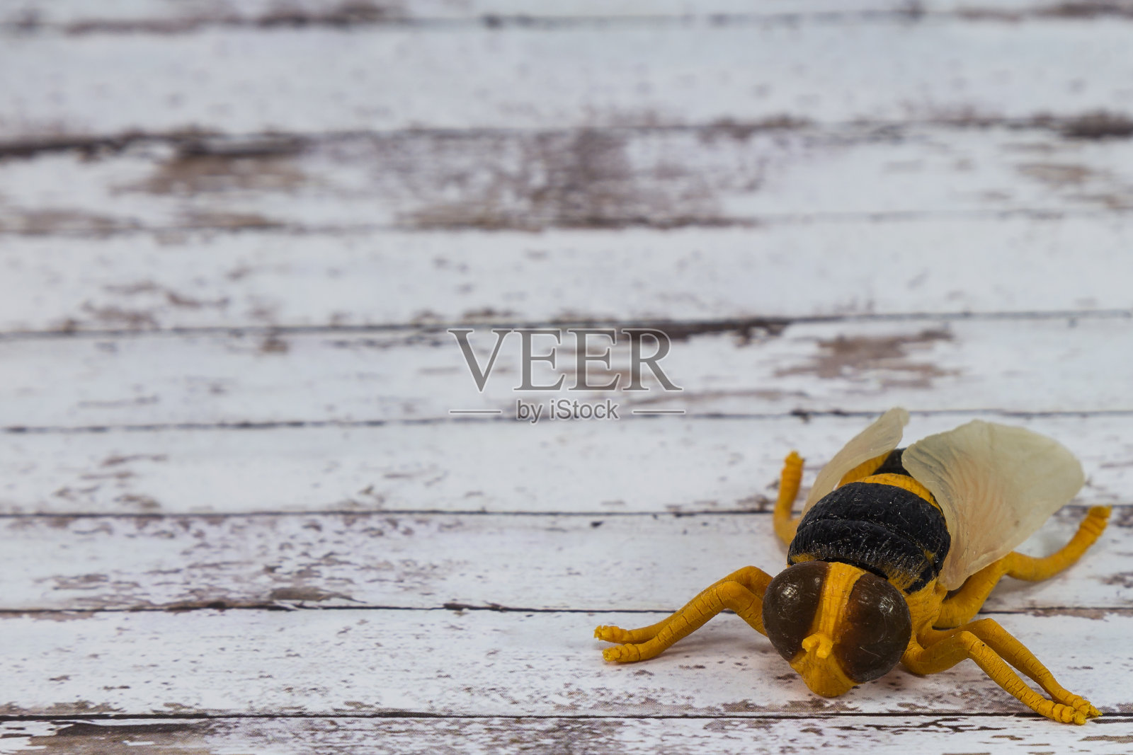 黄色塑料玩具苍蝇昆虫木制背景照片摄影图片