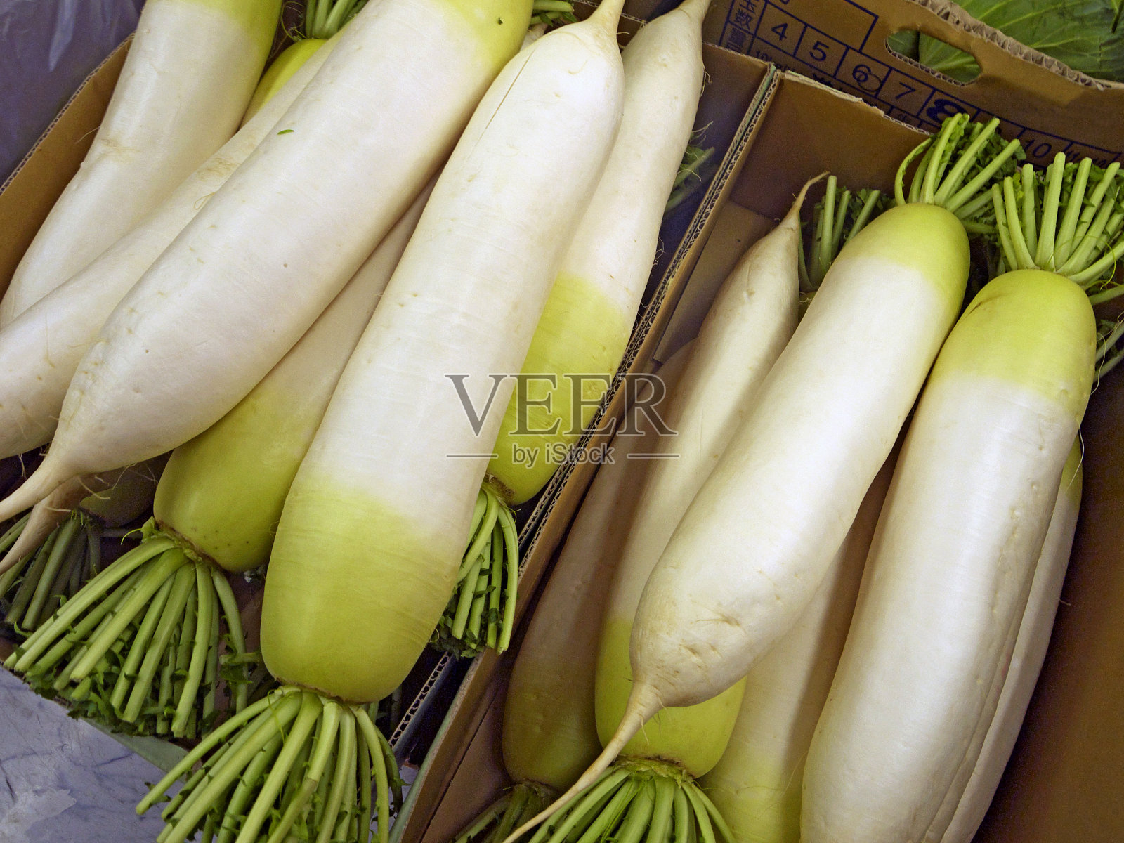 新鲜的日本白萝卜在市场上出售照片摄影图片