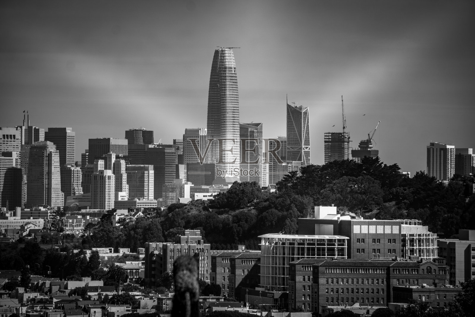 从伯纳尔高地眺望旧金山的天际线照片摄影图片