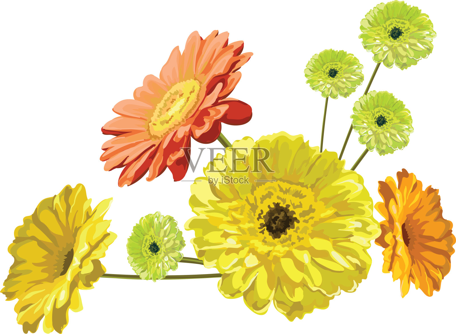 非洲菊-贺卡优雅的花束，黄色，橙色和绿色的植物插画图片素材